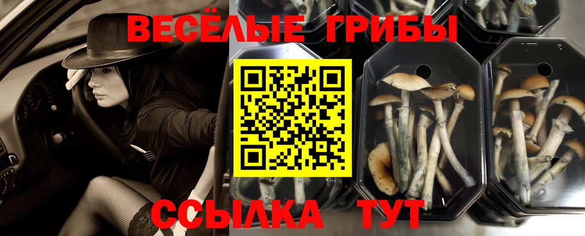 Керчь  Галлюциногенные грибы мицелий  Галлюциногенные грибы Magic Shrooms  Вход с VPN 