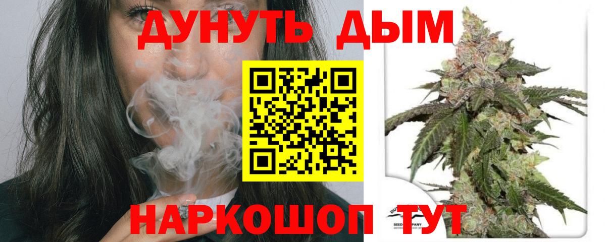 Каннабис сатива Керчь